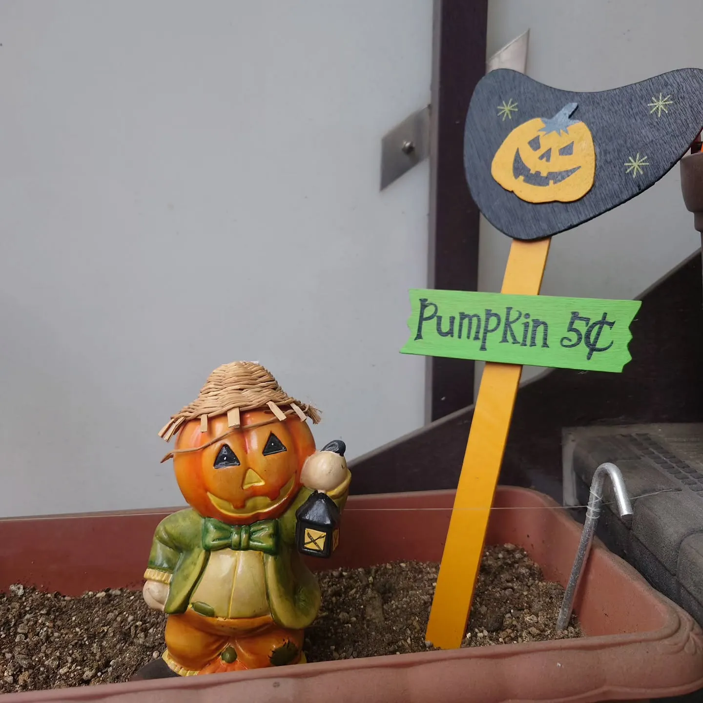 ハロウィンの季節です!